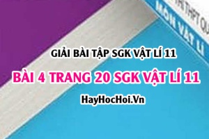 Giải bài 4 trang 20 SGK Vật lí 11